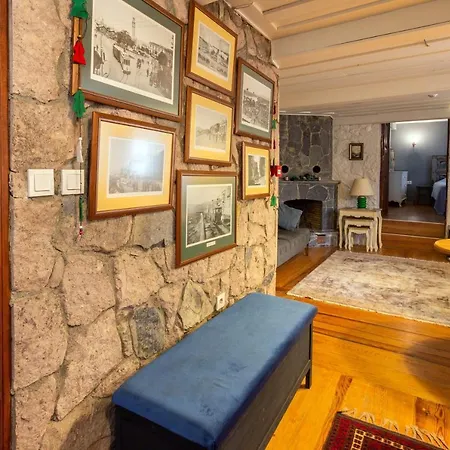 Sayılgan Ayvalık Greek House In The Center Villa Ayvalı